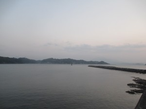 2016-3-19knhgf 013sfwe4t