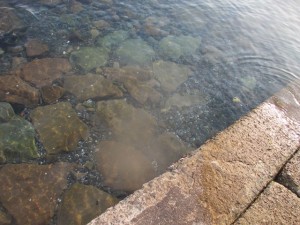 2016-3-1jgh 013cxbvb