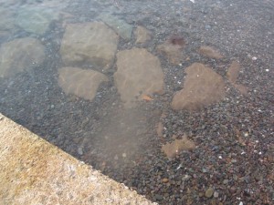 2016-3-1jgh 014dfnbfdtnj