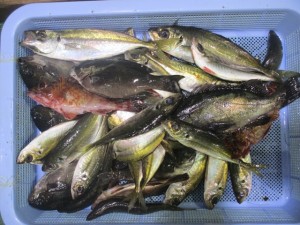 2016-3-20jkjhgggf 004opilh