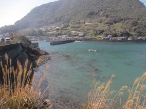 2016-3-20jkjhgggf 008ey5t