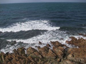 2016-3-20jkjhgggf 010yjtfjk