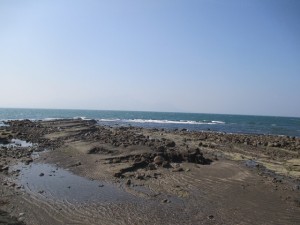 2016-3-20jkjhgggf 012xbnxcgjh