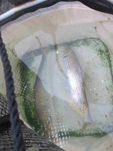 2016-3-3kjhfs 005eyt