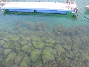 2016-3-3kjhfs 010fwsa