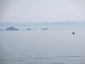 2016-3-3kjhfs 013fhgdf