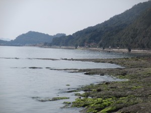 2016-3-3kjhfs 014wert5