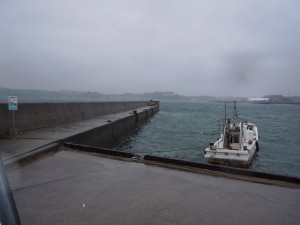 2016309kjh1292016320