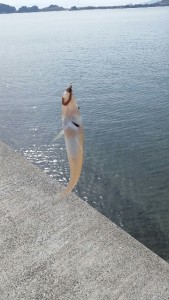 _storage_emulated_0_SilentCameraSoft_1458092686058