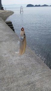 _storage_emulated_0_SilentCameraSoft_1458092697284