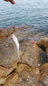 _storage_emulated_0_SilentCameraSoft_1458095732154