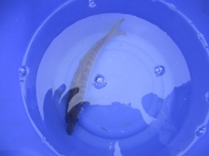 2016-4-10kfkjfjf 015y65e7u5