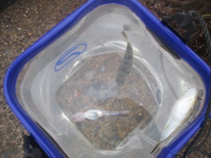 2016-4-10kfkjfjf 029hjndf