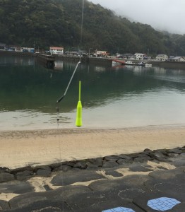 ２０１６０４０４二間戸 (16)