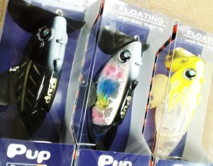 16-06-30-12-05-11-824_deco