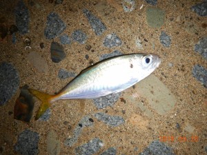 %ef%bc%91%ef%bc%90%e6%9c%88%ef%bc%93%e6%97%a5%ef%bc%96