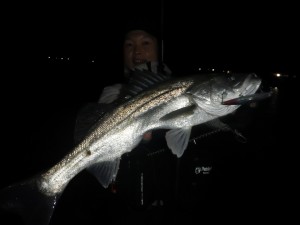 17-01-30-10-13-44-454_deco