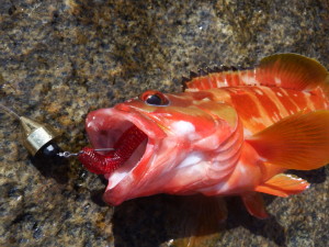 2018_0604_09212100(2)