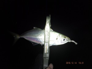 2018_1214_18310600-1600x1200