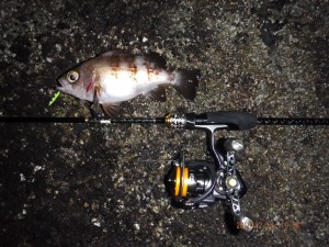 2018_1214_19380000-1600x1200