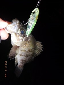 2018_1214_19545200-1200x1600