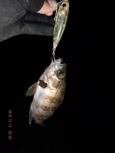 2018_1214_20053000-1200x1600