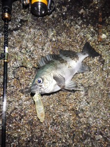 2018_1214_20142000-1200x1600