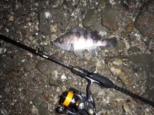 2018_1220_22195200-1200x1600