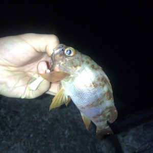 IMG_20190607_141224_174