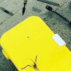 IMG_20190609_194658_109