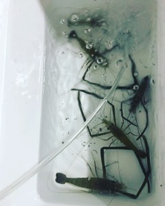 IMG_20190709_134104_781