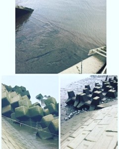 IMG_20190709_134104_788