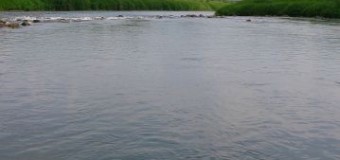 緑川の鮎釣り